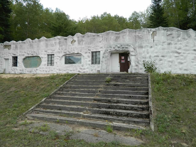 Underground Forest - Summer 2013 From Ron Gross (newer photo)